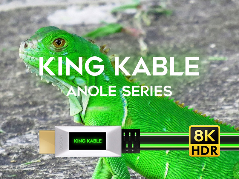 KING KABLE发布业界首款RGB灯效光纤HDMI2.1版8K线 代号“变色龙”(图1)